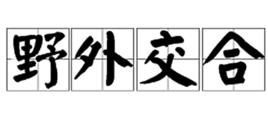 野外交合 野外交合