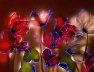 美國攝影師羅伯特·布爾特曼製作的照片