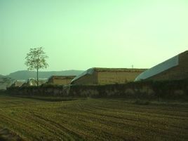 近鄉情怯 近鄉情怯