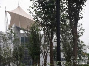 科榮花園 科榮花園