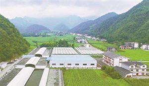 龍鳳鎮[龍鳳鎮]