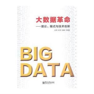 大數據革命:理論、模式與技術創新 大數據革命:理論、模式與技術創新
