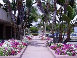 聖塔巴巴拉大學