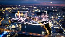 夏日的夢 標題