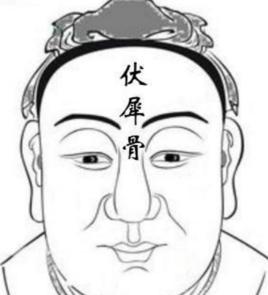 朝天伏犀骨 朝天伏犀骨