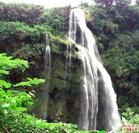 天星畫廊 天星畫廊