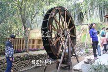 東鎮街道[廣東省信宜市東鎮]