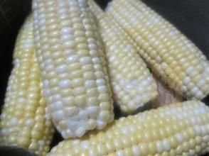 金銀甜218 金銀甜218