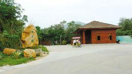 新會大石頭公園 新會大石頭公園