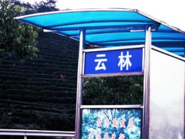 雲林村[浙江省淳安縣汾口鎮下轄村]