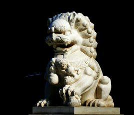 泉州獅文化 泉州獅文化