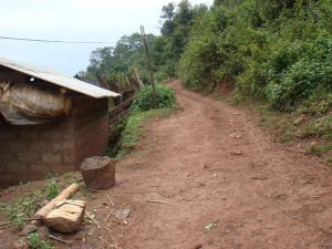 爛板橋自然村 爛板橋自然村