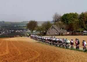 阿姆斯特爾金杯賽