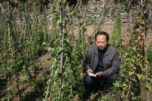 西玉2號 西玉2號