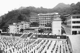 那坡中學 那坡中學