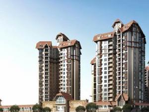 高信·向日葵 高信·向日葵