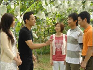 《真情滿天下》