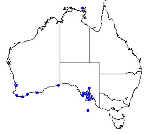 葉海龍地理分布