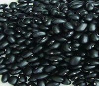 黑飯豆 黑飯豆