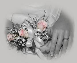 只求相愛過一生 只求相愛過一生