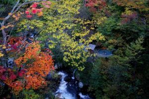 下諏訪溫泉 下諏訪溫泉