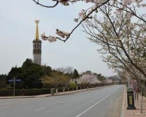 旅順太陽溝 旅順太陽溝