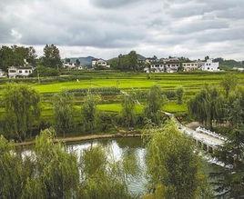 解放村[河南省商丘市梁園區解放村]