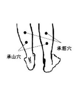 承筋穴 承筋穴