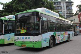 廈門81路 廈門81路