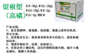 促根型腐植酸水溶肥