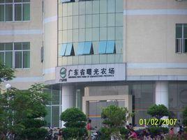 曙光農場[廣東省電白縣境內農場]