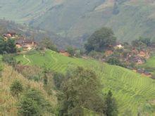 狗頭山自然村 狗頭山自然村