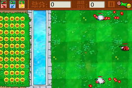 保衛花園2 保衛花園2