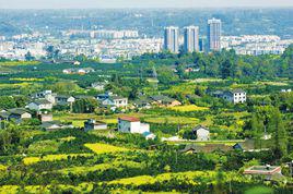 鶴山[鎮名，四川省蒲江縣鶴山鎮]