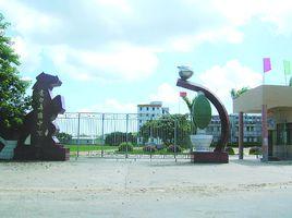 馬踏中學 馬踏中學