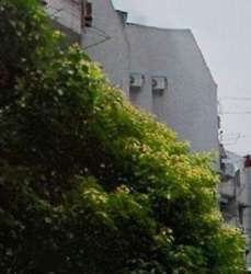 蓮園路555弄小區 蓮園路555弄小區