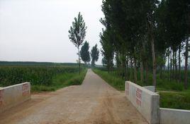 東王家莊村[山東膠州市杜村鎮下轄村]