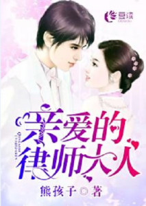 《親愛的律師大人》