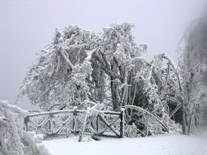 張家界天門山國家森林公園