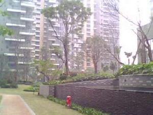 遠大5期·第5季 遠大5期·第5季