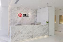 深圳市恆日升投資有限公司 深圳市恆日升投資有限公司