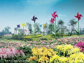 花鄉地區 花鄉地區