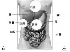 腸胃痙攣 腸胃痙攣