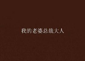 我的老婆總裁大人 我的老婆總裁大人