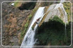 安順滴水潭瀑布 安順滴水潭瀑布