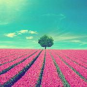 環球旅遊記 環球旅遊記