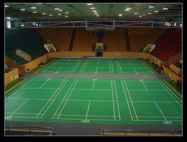 運動地膠 運動地膠