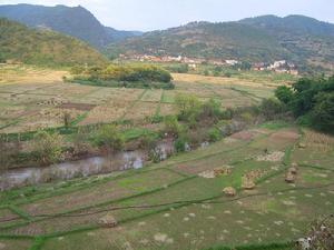 山後一組村-耕地