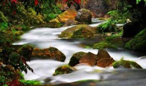 半溪殘雪 半溪殘雪