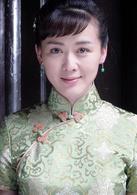 歷史的天空[2004年高希希執導電視劇]